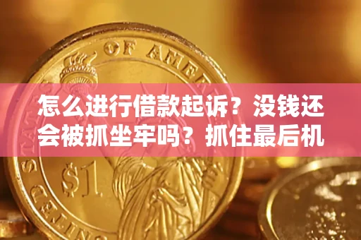 北京怎么进行借款起诉？没钱还会被抓坐牢吗？抓住最后机会！