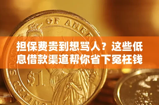 北京担保费贵到想骂人？这些低息借款渠道帮你省下冤枉钱