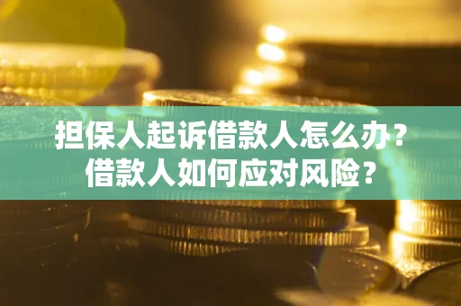 北京担保人起诉借款人怎么办？借款人如何应对风险？