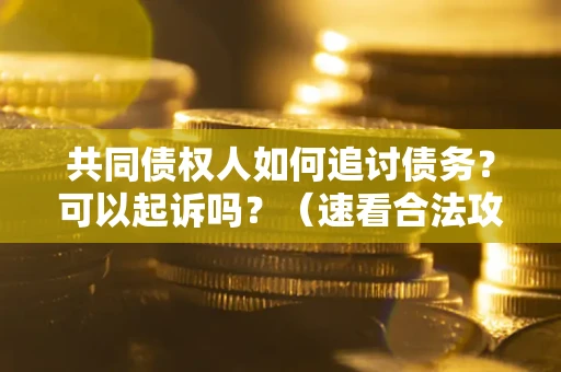 北京共同债权人如何追讨债务？可以起诉吗？（速看合法攻略）