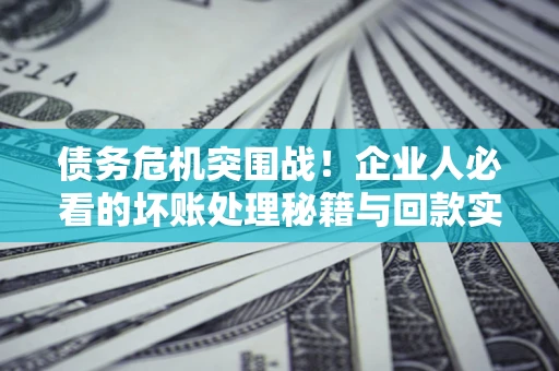 北京债务危机突围战！企业人必看的坏账处理秘籍与回款实战指南